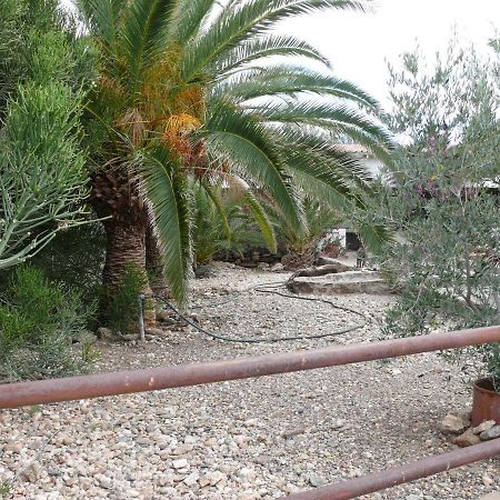 Rooiklip Camp Flintstone Διαμέρισμα Εξωτερικό φωτογραφία
